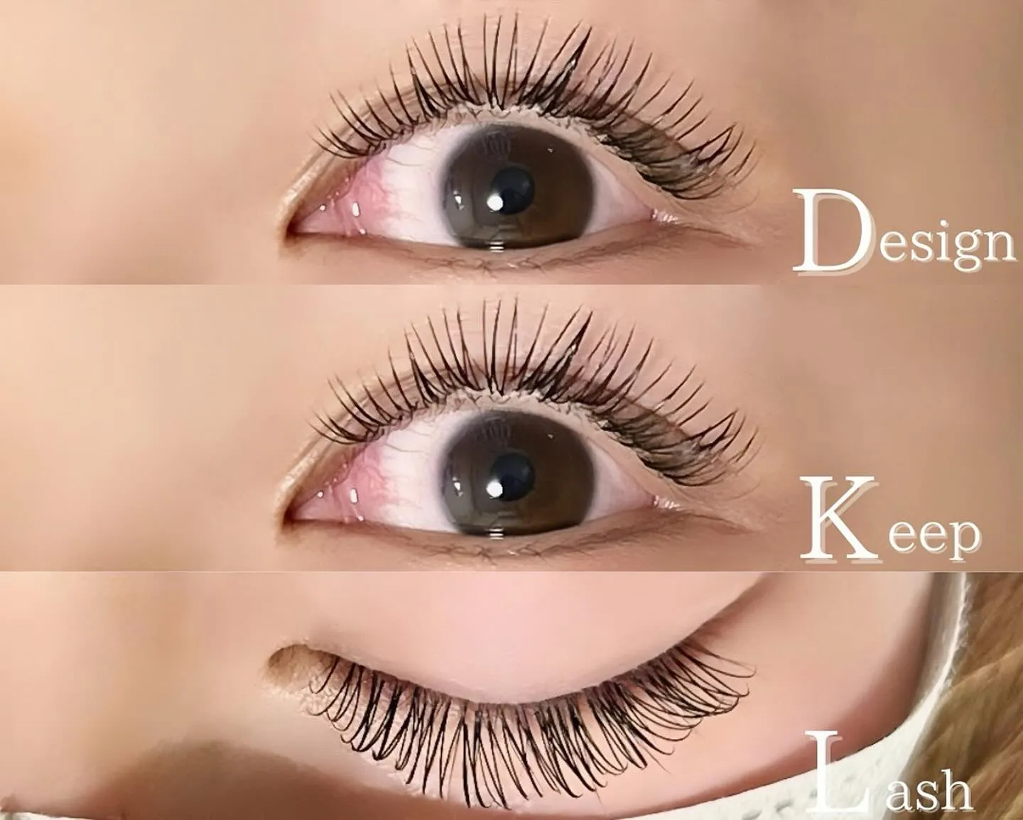 【滋賀 近江八幡 モチがいい デザインキープラッシュ】